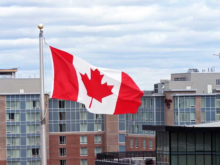 Is the Canada economy struggling or stable? We analyze the confidence gap created when negative headlines clash with personal financial reality