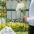 Flowers at a funeral
