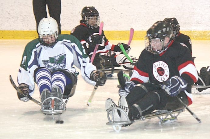 Sledge hockey tournament goes this weekend