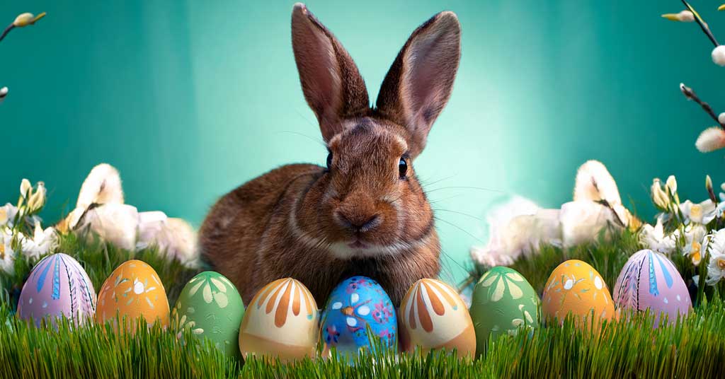 Explore the history of Easter eggs and the Easter bunny, and how these symbols connect to the celebration of resurrection