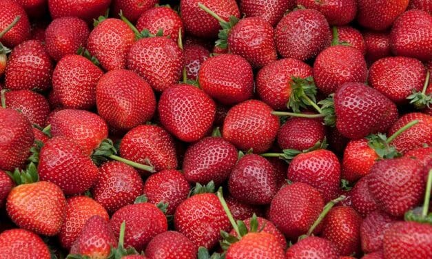 Summer produce should mean better prices, not ripoffs