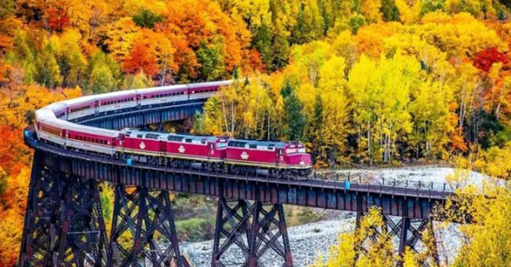A beaver dam cut our 2017 Agawa Canyon train ride short