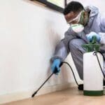 Smart Home Pest Prevention: Modern Strategies That Actually Work