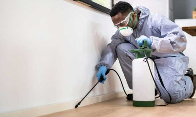 Smart Home Pest Prevention: Modern Strategies That Actually Work