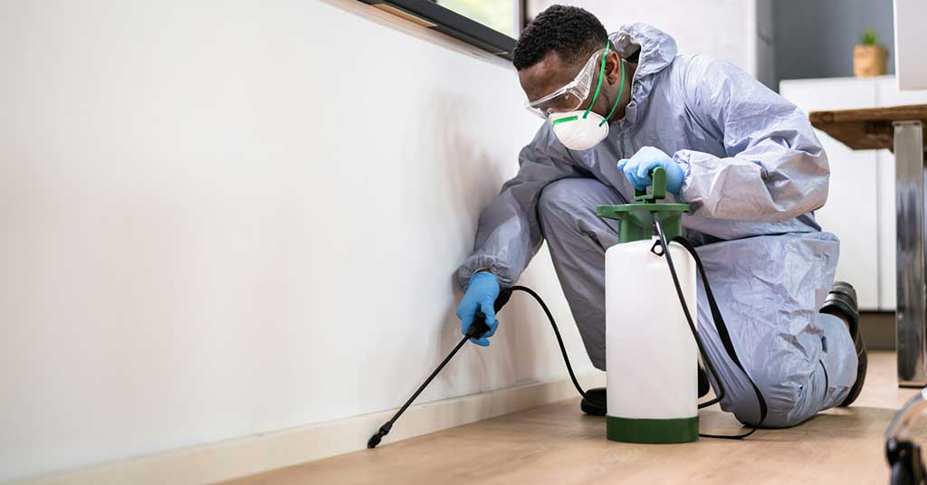 Smart Home Pest Prevention: Modern Strategies That Actually Work