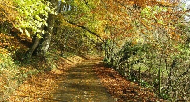 The financial road less travelled still offers a trustworthy route