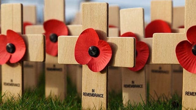 Celebrate Remembrance Day with a reflective look at the First World War and its significance in Canadian culture