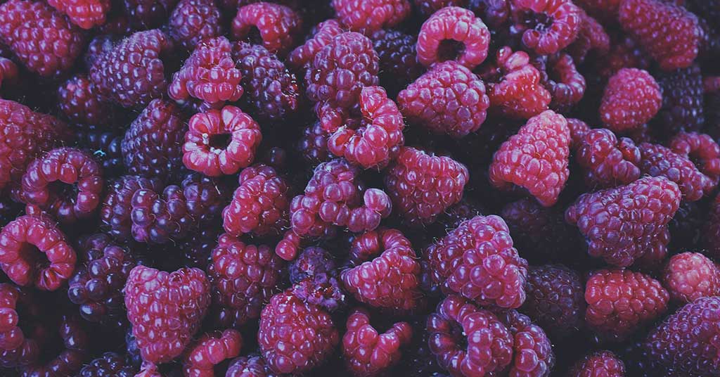 My berry picking secrets to business success