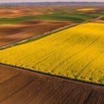 Ottawa’s EV gamble just cost canola farmers billions